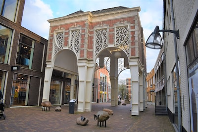 ‘Veenendaal is mooier dan Parijs’