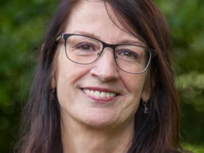 Image related to the article