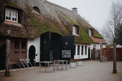 Van boer tot bord: het Food Film Fest in Eindhoven geeft je een kijkje achter de schermen