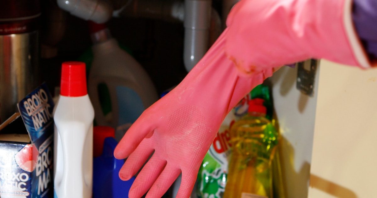 Campagne tegen schimmels gestart in Maassluis