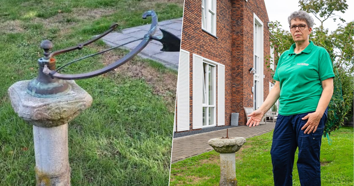 Bronzen geschenk vernield en gestolen uit tuin Anjerhuis in Ridderkerk ‘Blijf met je tengels van and