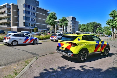 Image related to the article