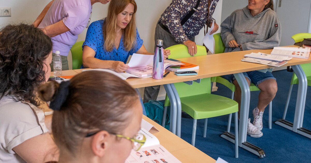 Vervolgcursus Fries Verstaan start vanaf september in Nijemirdum