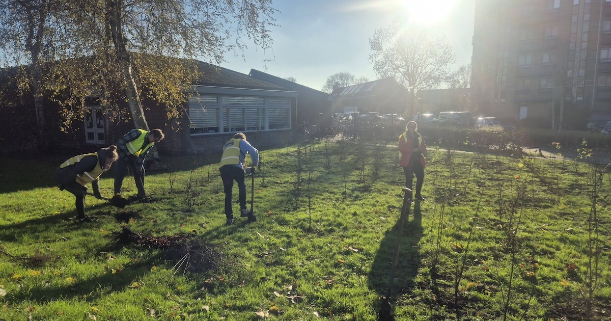 Zuidplaslaan in Waddinxveen wordt groener door aanleg nieuwe struiken en planten