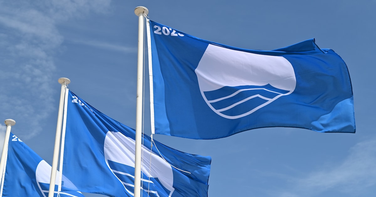 Stranden in Bergen ontvangen Blauwe Vlag en Groene Wimpel