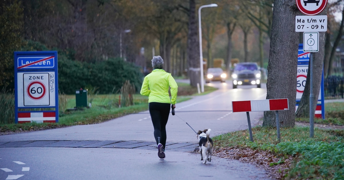 Lezers over plannen voor Hamersveldseweg: ‘Afsluiten is veel te rigide’