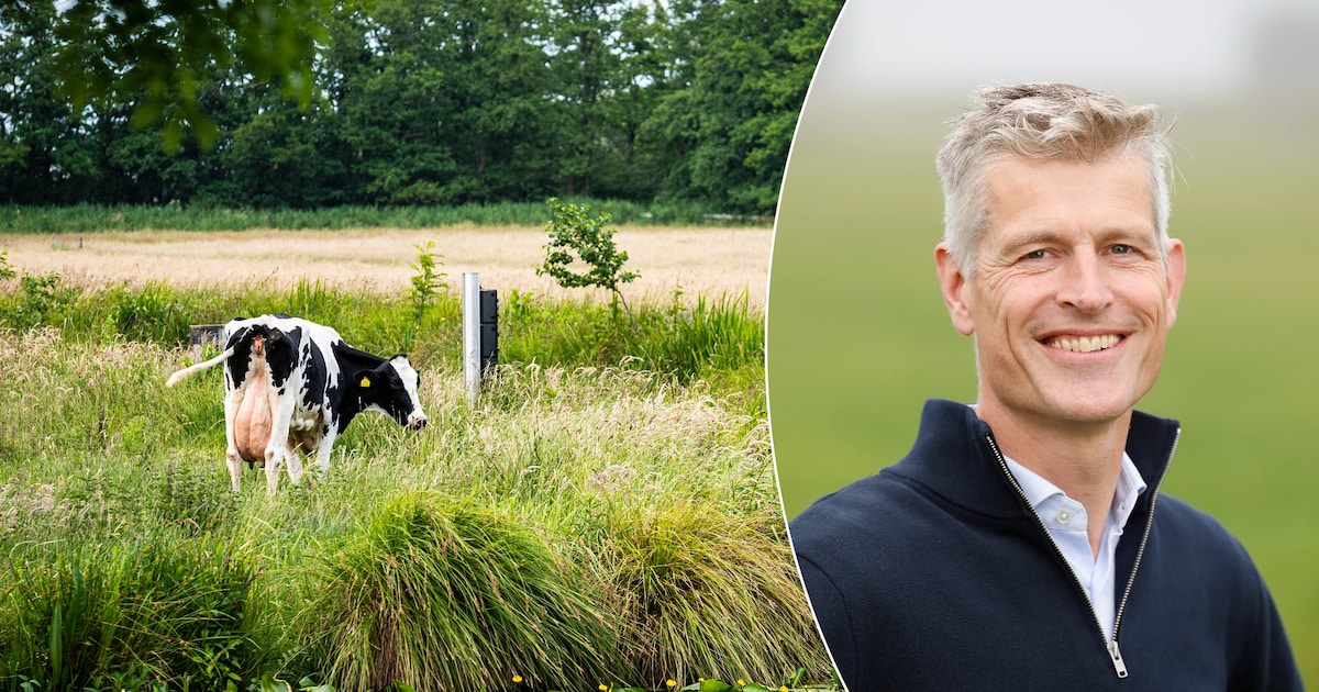 Minister wil een 1000 meter stikstofzone rond Nieuwkoopse Plassen, boeren voelen daar weinig voor