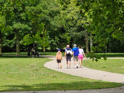 Van blotevoetenpad tot NS-wandeling: boost je mentale gezondheid met deze wandelingen
