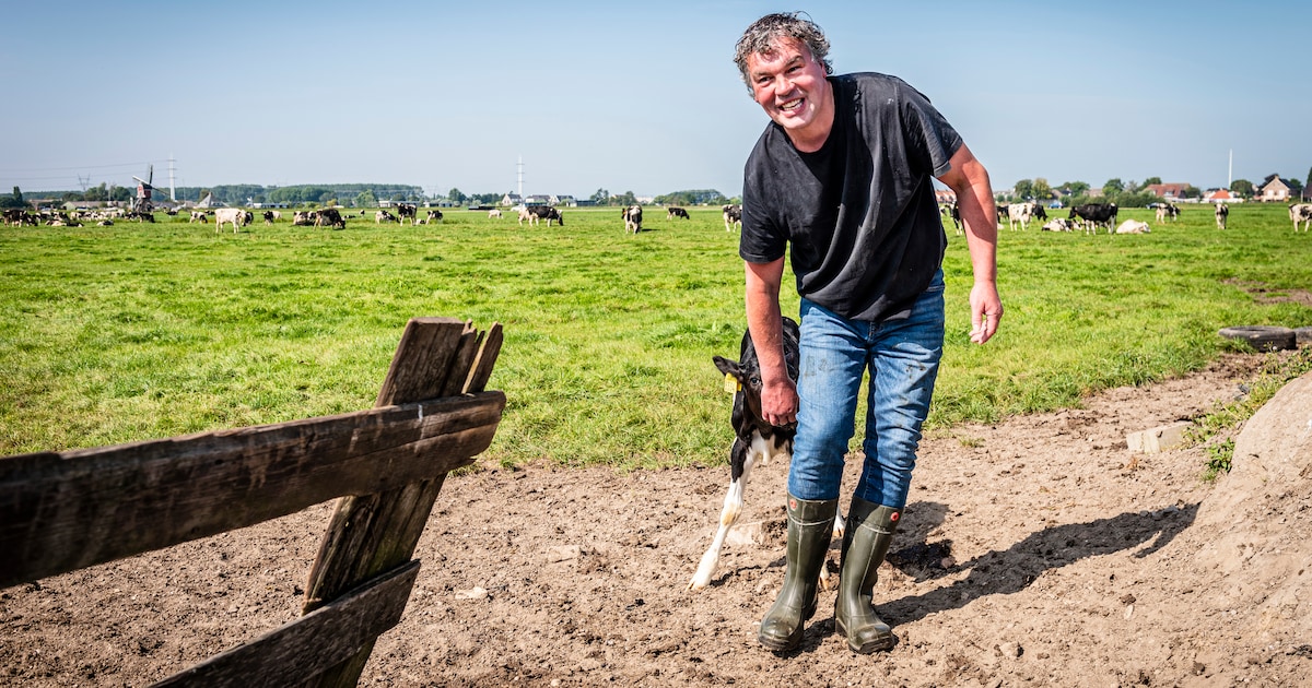 Raadslid suggereert deal over bouwen voor jongeren, burgemeester grijpt in: ‘Was heel normale vraag’