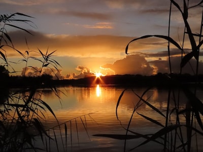 Pijnacker-Nootdorp verlengt samenwerking met Staatsbosbeheer