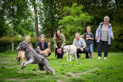 Geliefde hondenweides in Lingewaard blijven behouden, tot vreugde van Mieke: ‘Voor iedereen een oplu