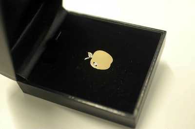 Gouden Oogappel eert vrijwilligers in Oss