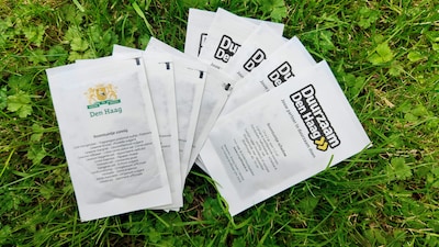 Gratis bloemzaadjes voor een kleurrijker Den Haag: zo maak je van een kale boomspiegel een minituint