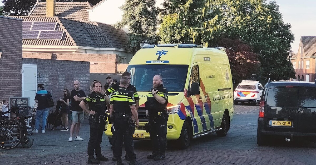Gewonde en meerdere aanhoudingen na vechtpartij in Reuver