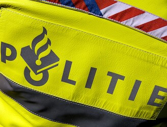 Bestelbus botst op boom in Roermond, bestuurder overleden