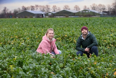 Image related to the article