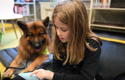 Lezen voor een hond? In Essen kan het met publiekslieveling Boris