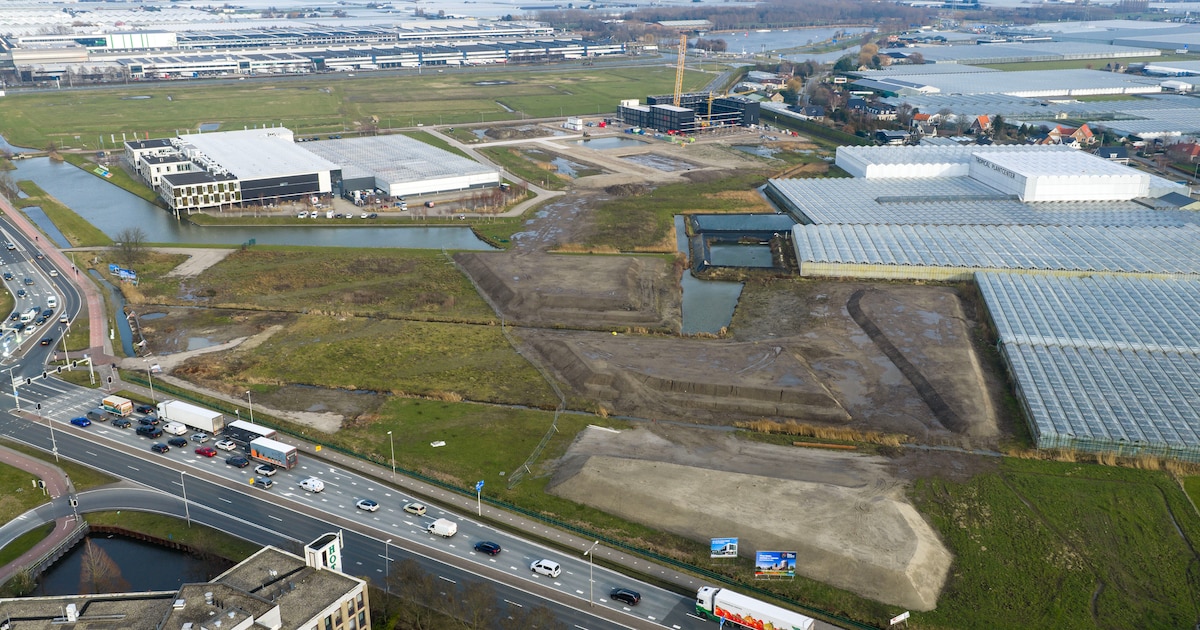 Flora Campus Westland vertraagd en miljoenen euro’s duurder | Regio | AD.nl