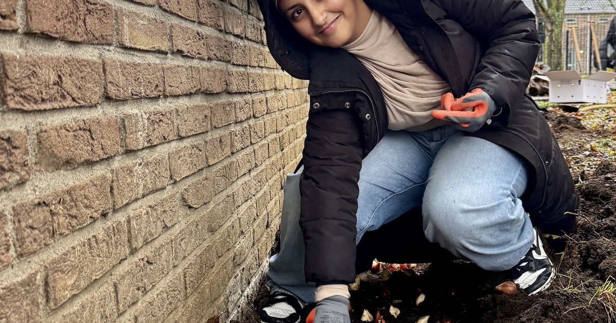 Duizend tulpenbollen geplant bij basisschool in Rijsoord voor End Polio Now