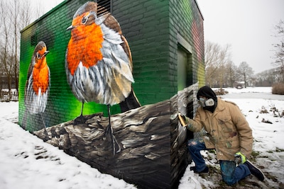 Image related to the article