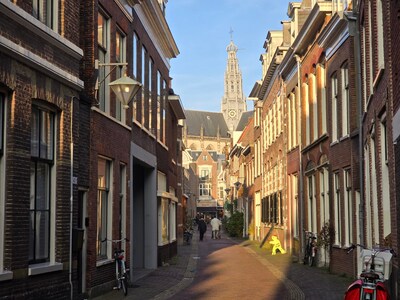 Did you know? 3 facts about the municipal elections in Haarlem