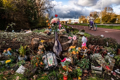 Image related to the article