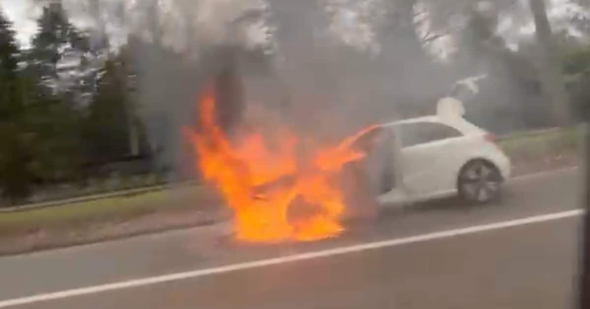 Wagen brandt volledig uit op Ringlaan in Lommel