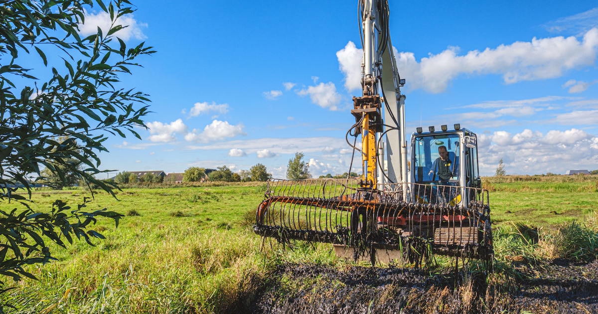 Gemeente Lisse maait slootkanten en schoont watergangen