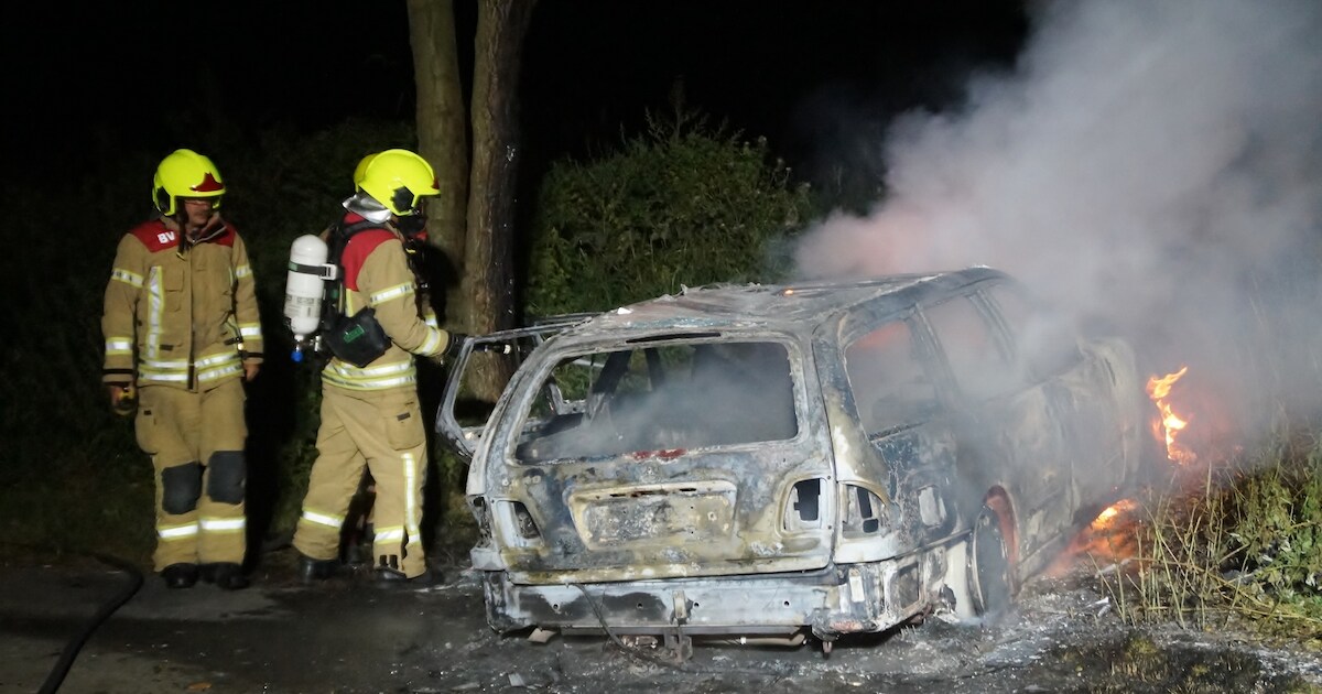 Mercedes uitgebrand in recreatiegebied bij Geervliet
