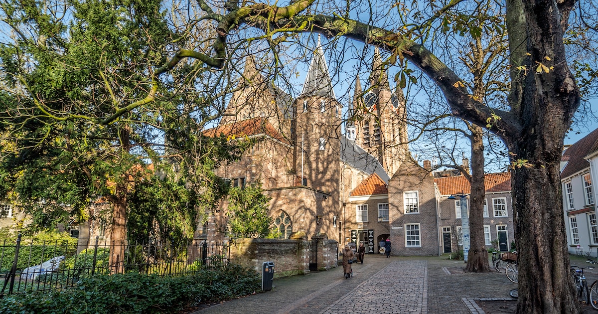 Tweede Kamer maakt zich sterk voor extra geld museum Prinsenhof