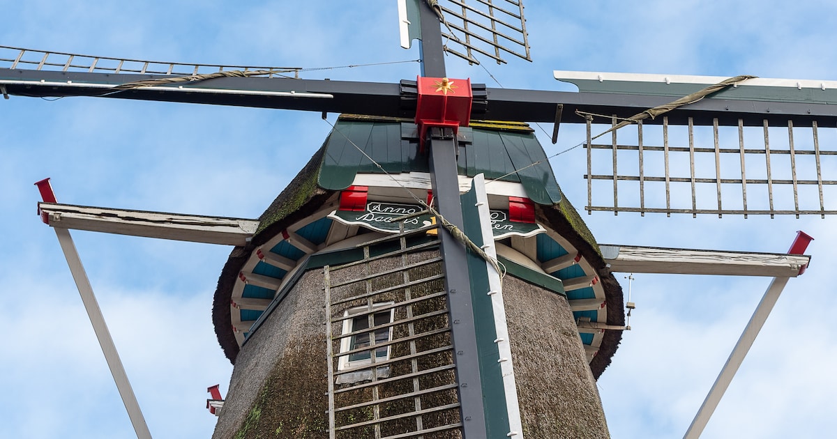 Daams' Molen doet mee aan Nationale Molendag