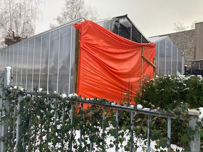 Image related to the article