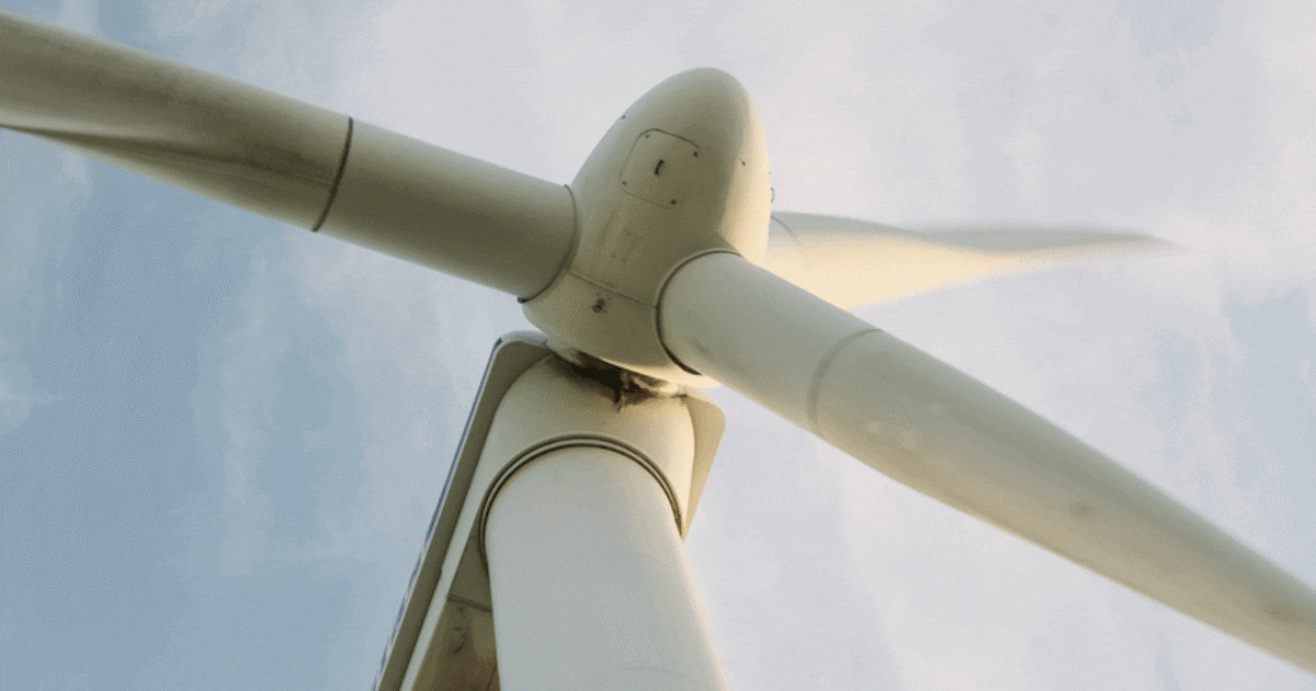 Strijd over windmolens op Isselt staat vlak voor de verkiezingen op scherp: dit moet je weten