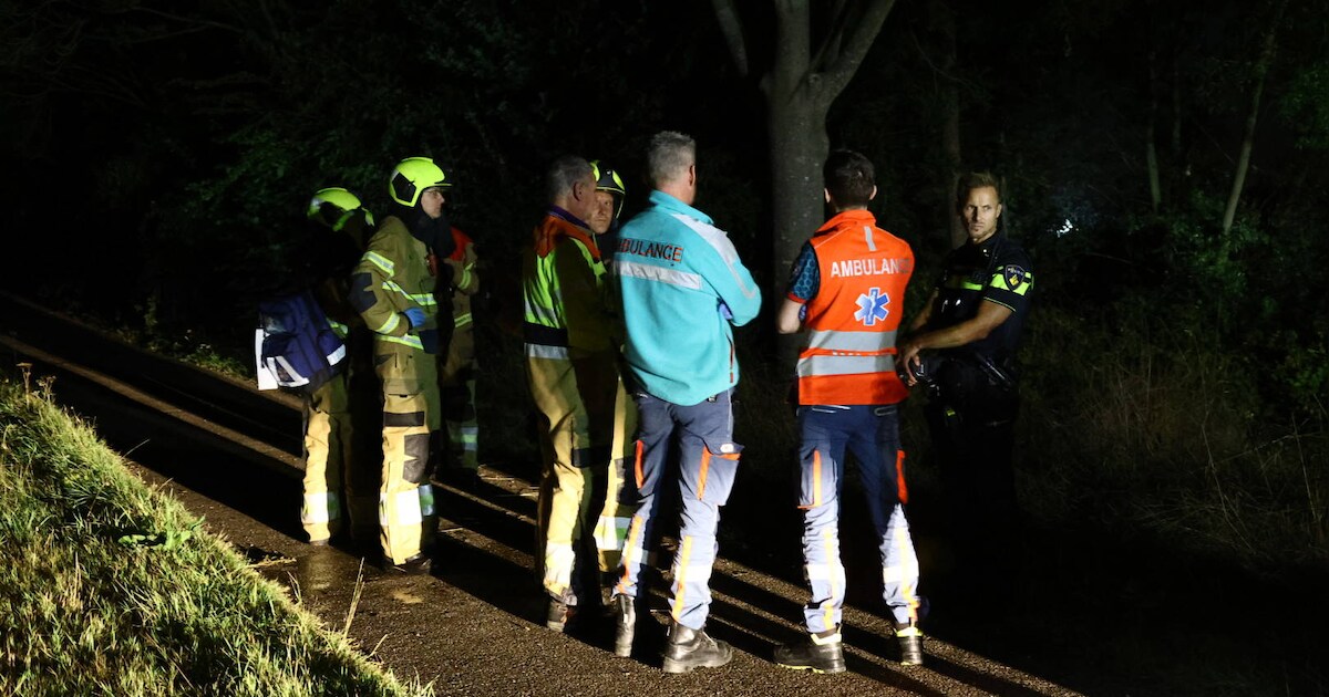 Zwaan overlijdt nadat man van jetski valt in Linden
