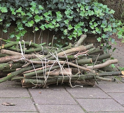 Snoeiafval ophalen in Oss vanaf 2026 alleen gratis in snoeiseizoen