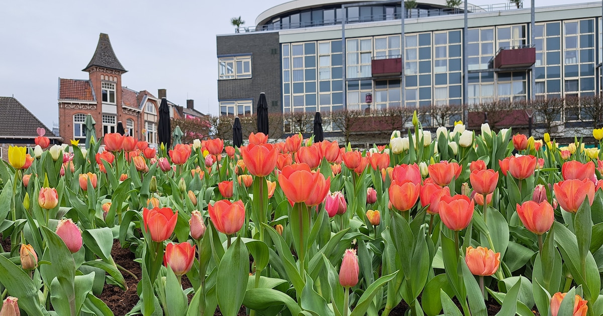 Eropuit in het weekend: uittips in Almelo (17-19 april)