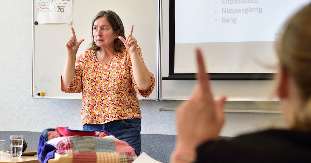 Bibliotheek in Werkendam start cursus gebarentaal