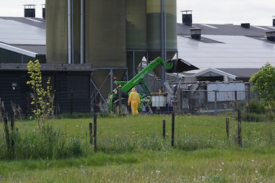 Vogelgriep Biddinghuizen duikt kort na ophokplicht op, deskundigen komen bij elkaar