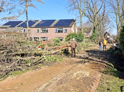 Zaag in twintig bomen langs Molenvoetpad in Tubbergen: wat is hier aan de hand?