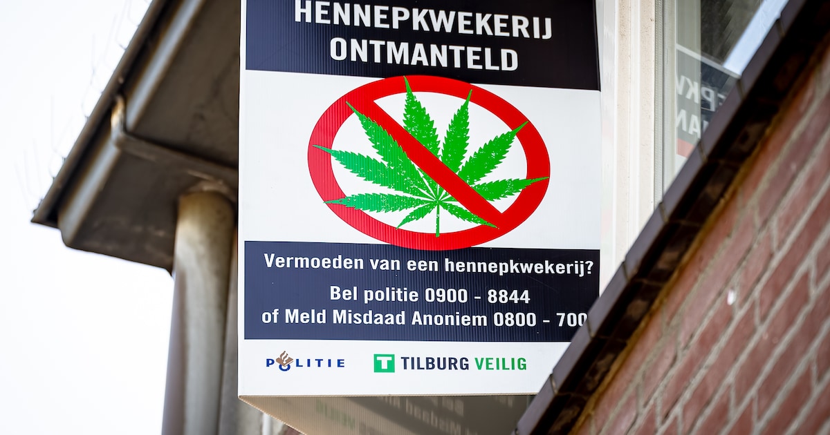 Politie ontmantelt hennepkwekerijen in Noord-Holland