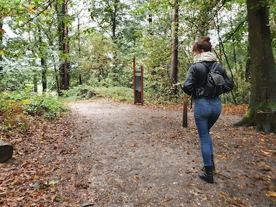 Weekendtips: deze dingen doe je in Nijmegen (9-11 oktober)