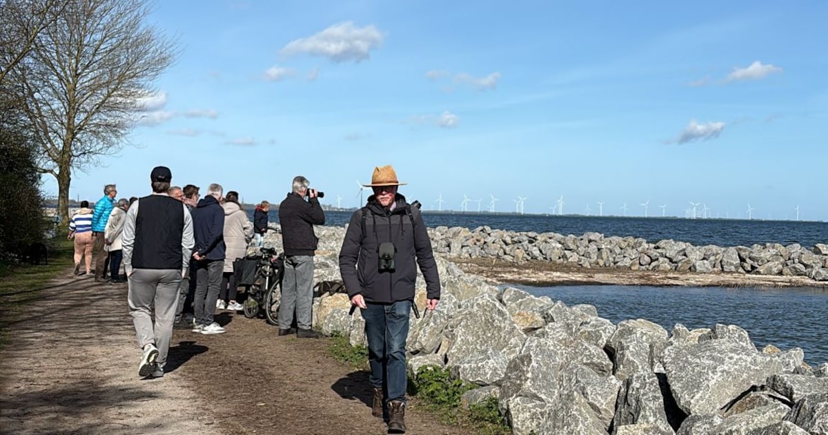 Zeehondencentrum roept op tot rust bij zeehond in Andijk