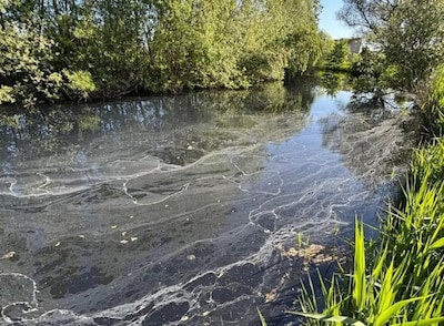 Opnieuw vervuild slootwater rond Van Tuyllpark in Zoetermeer vastgesteld