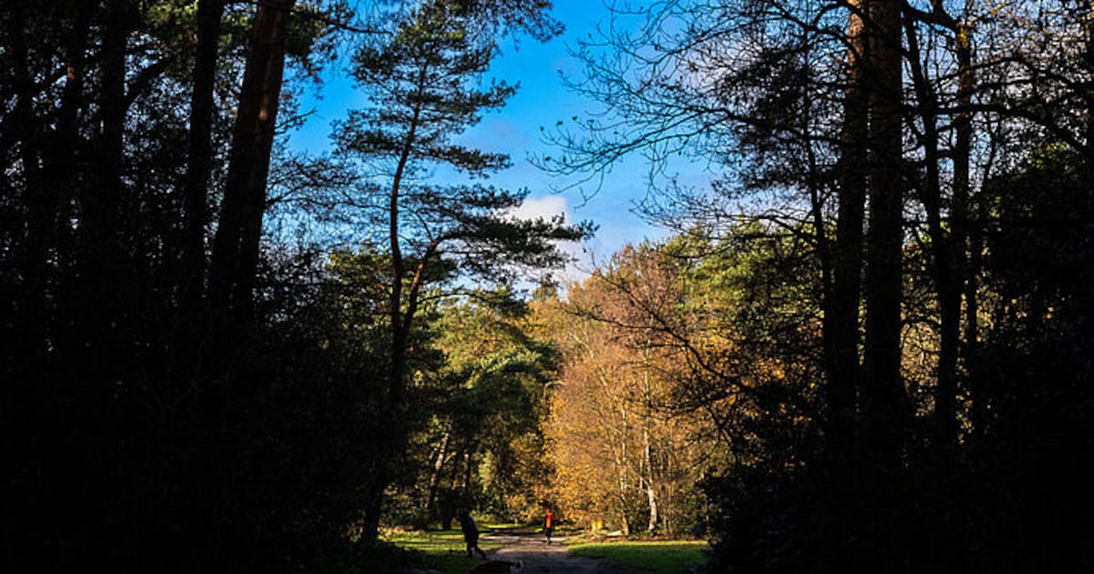 Gemeente De Bilt ruilt grond met Utrechts Landschap