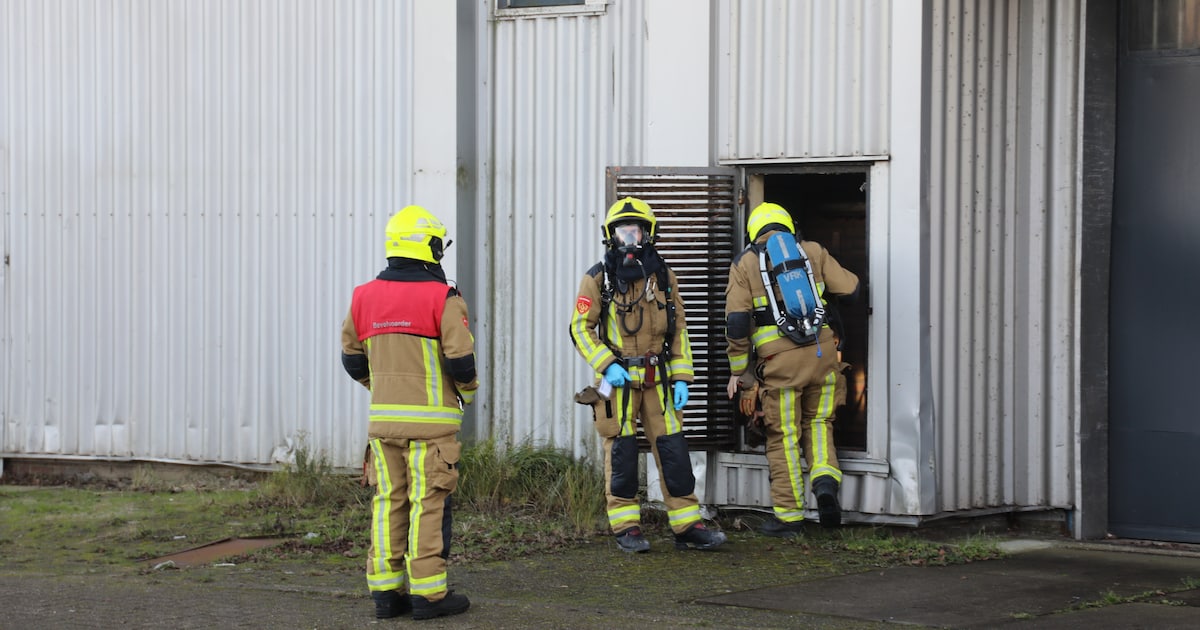 Brandweer doorzoekt luchtschacht van bedrijf in Velsen-Noord tijdens zoekactie naar vermiste Milan (