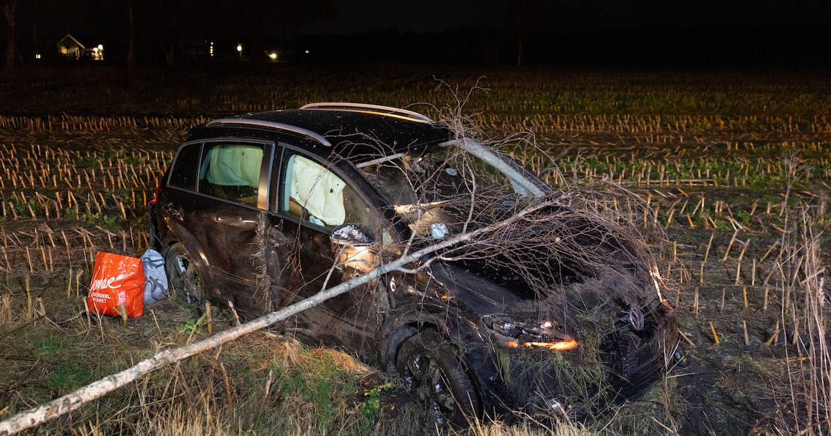 Auto zwaar beschadigd na botsing tegen boom in Giethmen