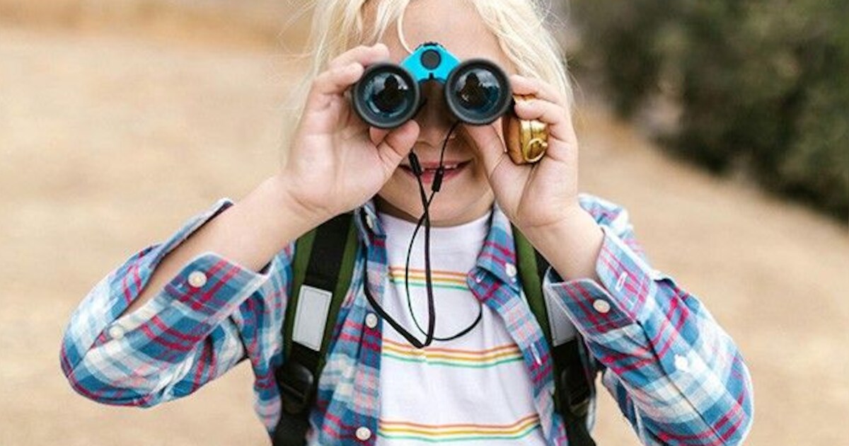 Zomerspeurtochten in bibliotheek Hilvarenbeek