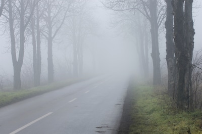 Mist of mistflarden in Hoeksche Waard in de ochtend
