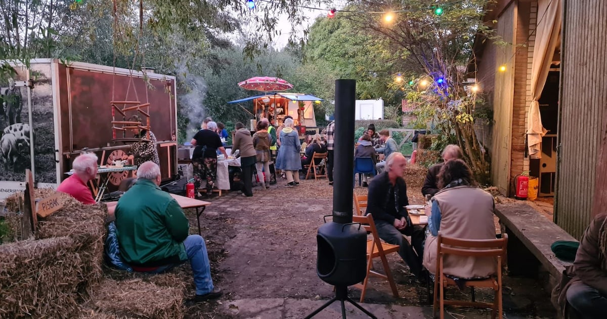 Broekland Festival brengt boeren, varkens, theater en muziek samen in Asten-Heusden