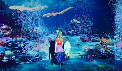 Sea Life Scheveningen is weer open: dit is er allemaal vernieuwd